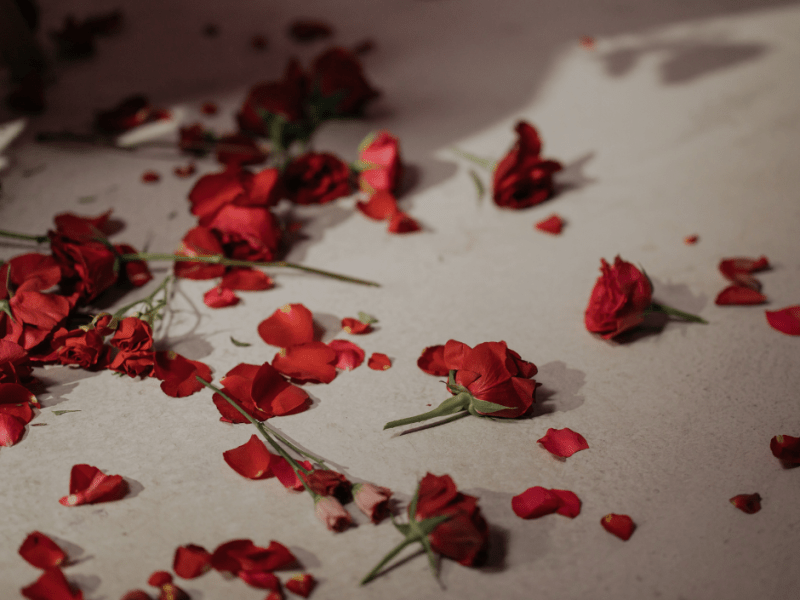 The Hidden Barakah of Our Menstrual&nbsp;Cycle